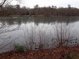 th_20190131_143723.jpg