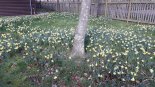 th_20200227_131744.jpg