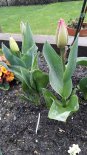 th_20200319_120800.jpg