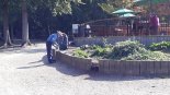 th_20200914_112900.jpg