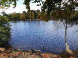 th_20201022_120549.jpg