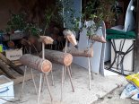 th_20201203_114927.jpg