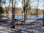 th_20210125_095241.jpg