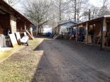 th_20210215_121547.jpg