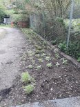 th_20210517_102647.jpg