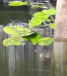 th_20210610_142034~2.jpg