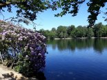 th_20210614_105454.jpg