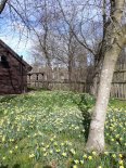 th_20220314_120721.jpg