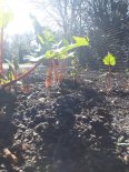 th_20220317_105549.jpg