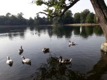 th_20220922_093648.jpg