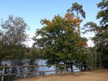 th_20221010_145945.jpg