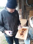 th_20230502_115246.jpg