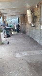 th_20230717_105448.jpg