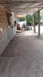 th_20230717_145745.jpg
