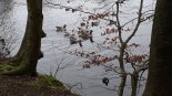 th_20240129_120458.jpg