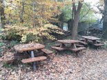 th_20241111_121248.jpg