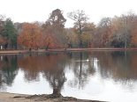 th_20241118_125304.jpg