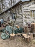 th_20260309_IMG_6474.jpg