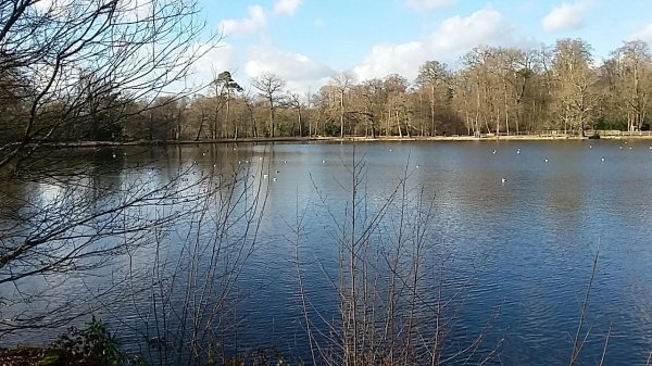 imagesGallery20180119_130740.jpg