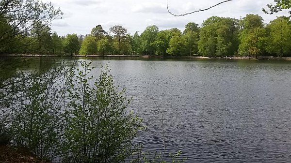 imagesGallery20180503_143550.jpg