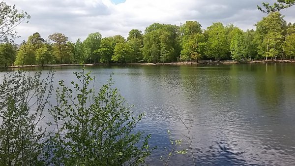 imagesGallery20180504_142910.jpg