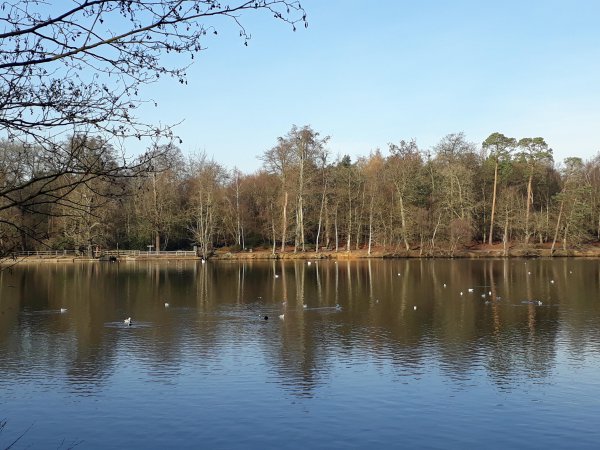 imagesGallery20190104_115452.jpg