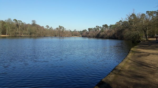 imagesGallery20190225_134311.jpg