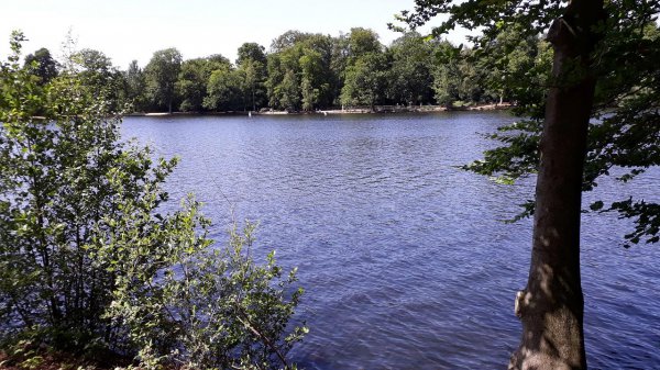 imagesGallery20190627_143406.jpg