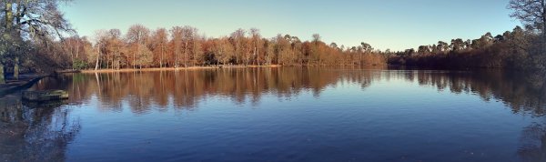 imagesGallery20191202_110152-PANO.jpg