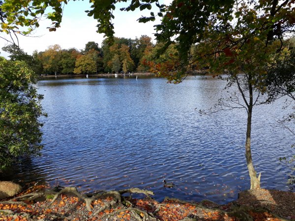 imagesGallery20201022_120549.jpg