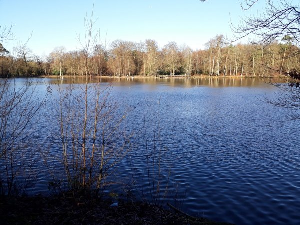 imagesGallery20201224_103031.jpg