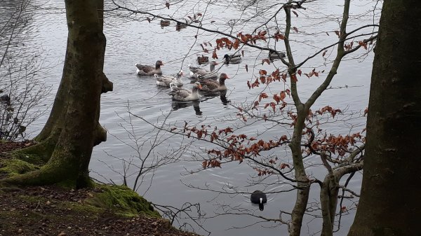 imagesGallery20240129_120458.jpg