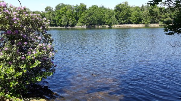 imagesGallery20240520_125607.jpg