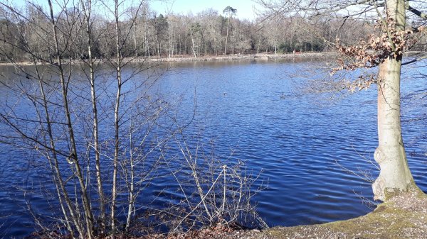 imagesGallery20250303_140526.jpg