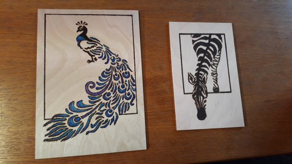 imagesGallery20250306_115056.jpg