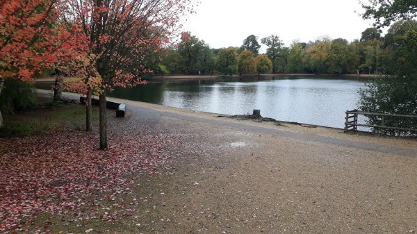 imagesGallery20251023_114404.jpg